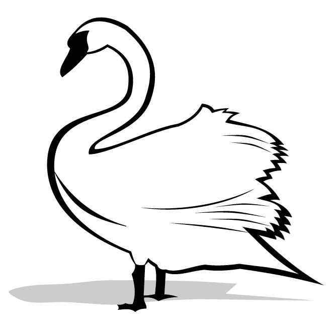 Download Swan Clipart Black And White