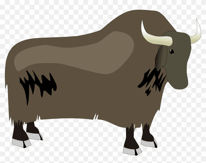 Download Yak Clipart