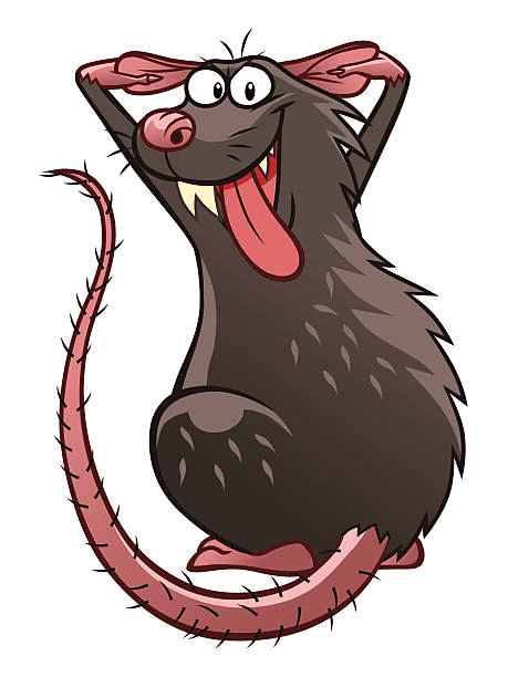 Evil Rat Clipart Images