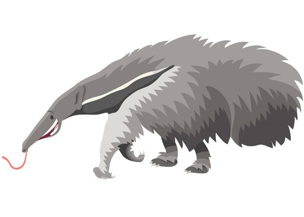 Free Anteater Clipart Image