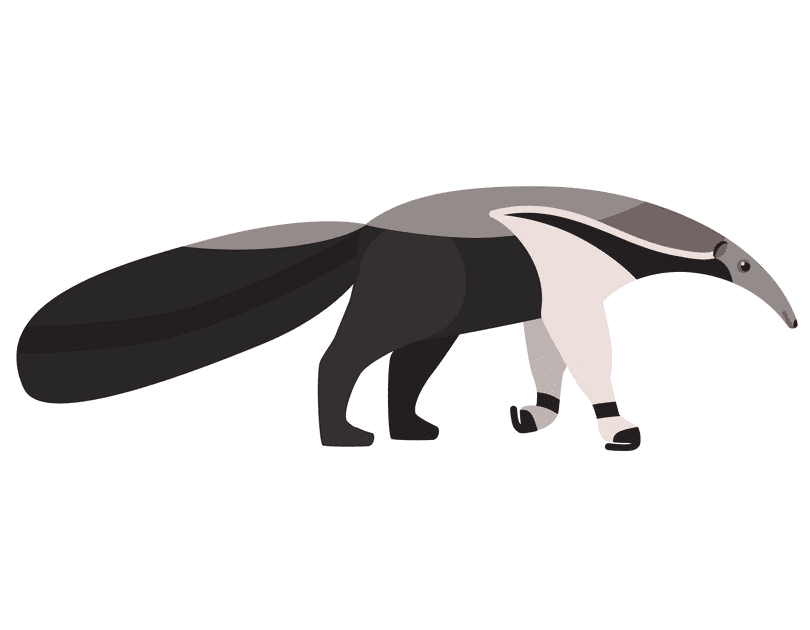 Free Anteater Clipart Picture
