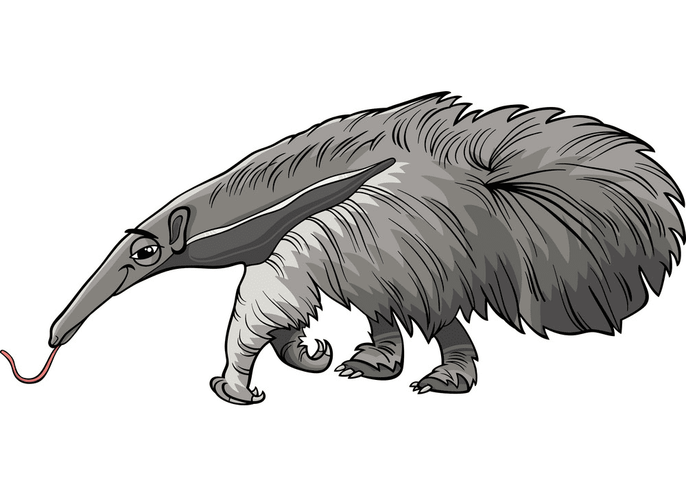 Free Anteater Clipart Png