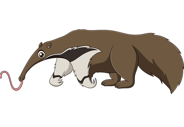 Free Clipart Anteater