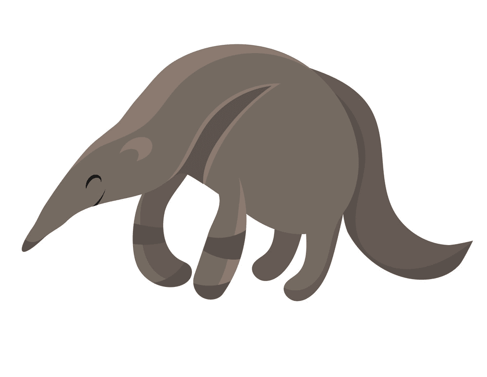 Free Download Anteater Clipart