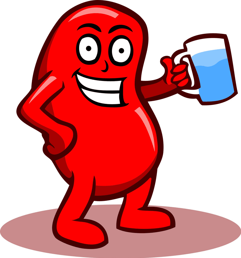 Free Kidney Clipart Png
