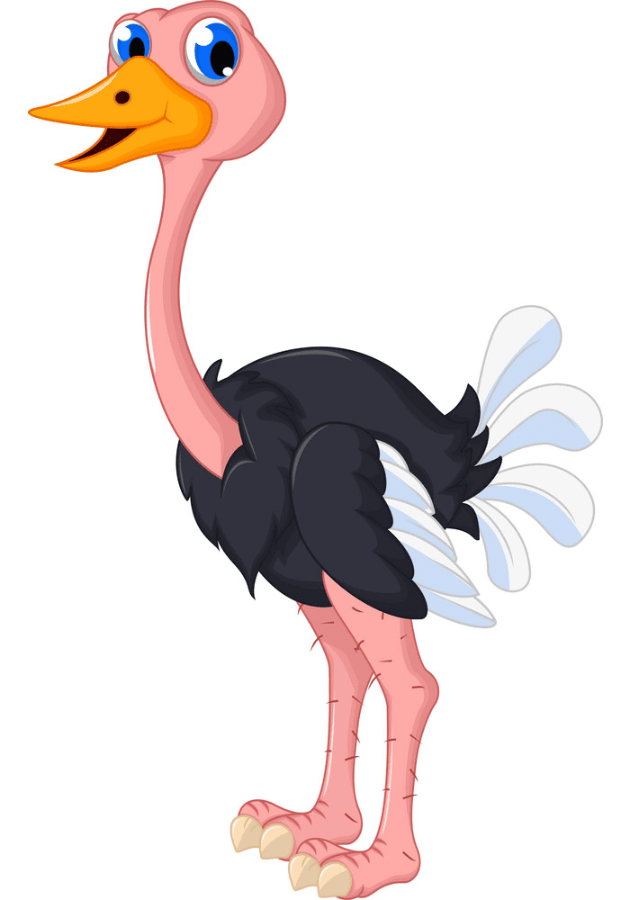 Free Ostrich Clipart Download