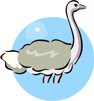 Free Ostrich Clipart Image