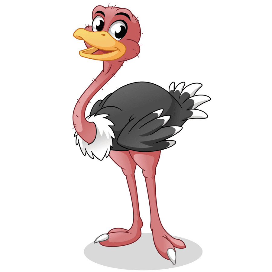 Free Ostrich Clipart Pictures