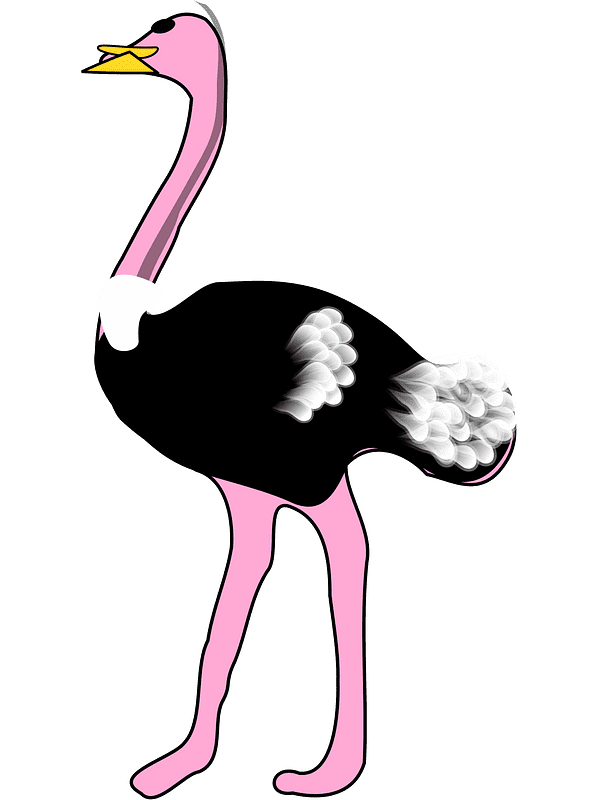 Free Ostrich Clipart Transparent