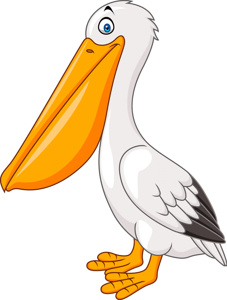 Free Pelican Clipart Image