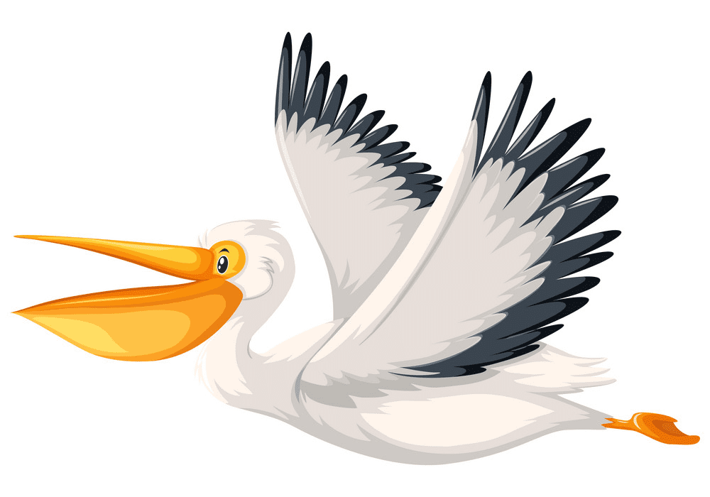 Free Pelican Clipart Images
