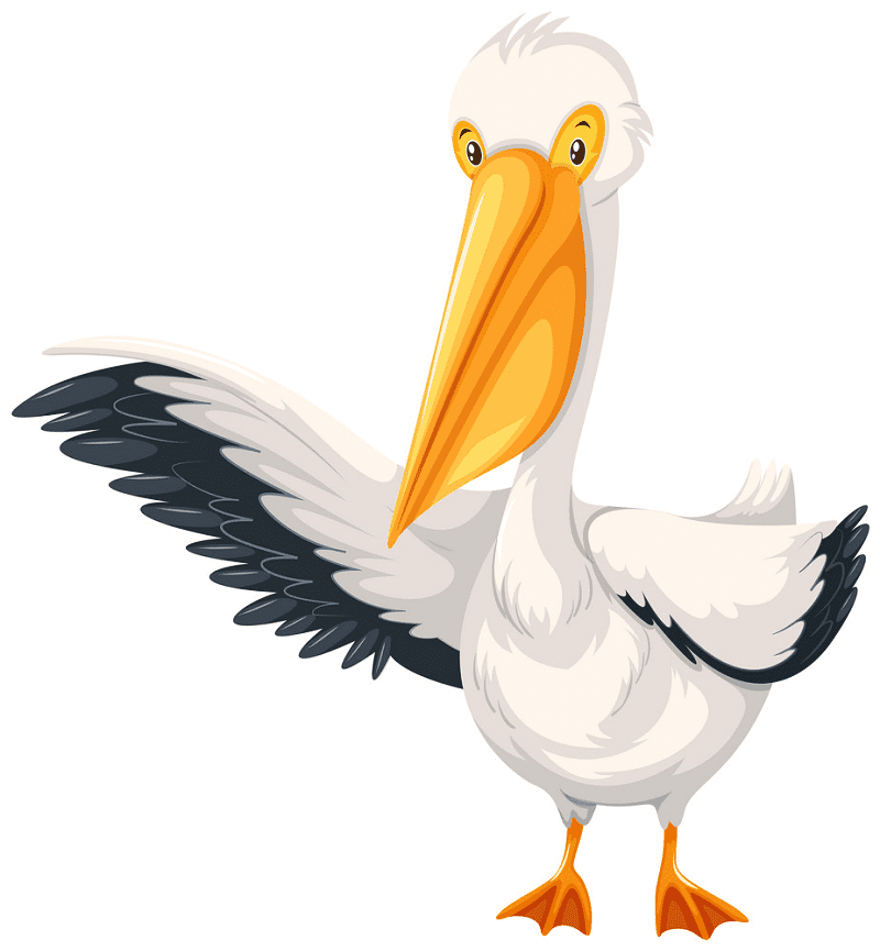 Free Pelican Clipart Picture