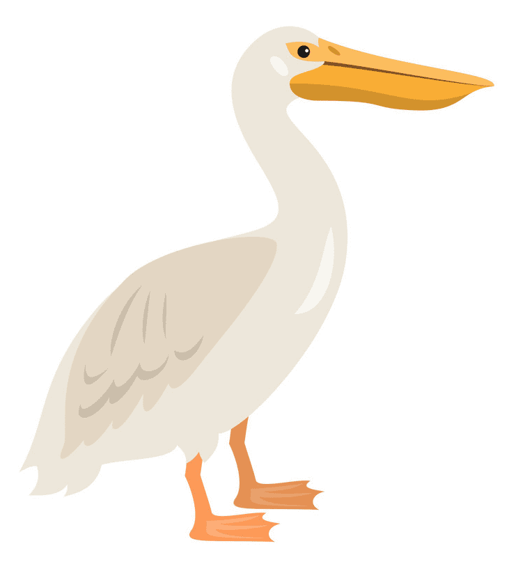 Free Pelican Clipart Png