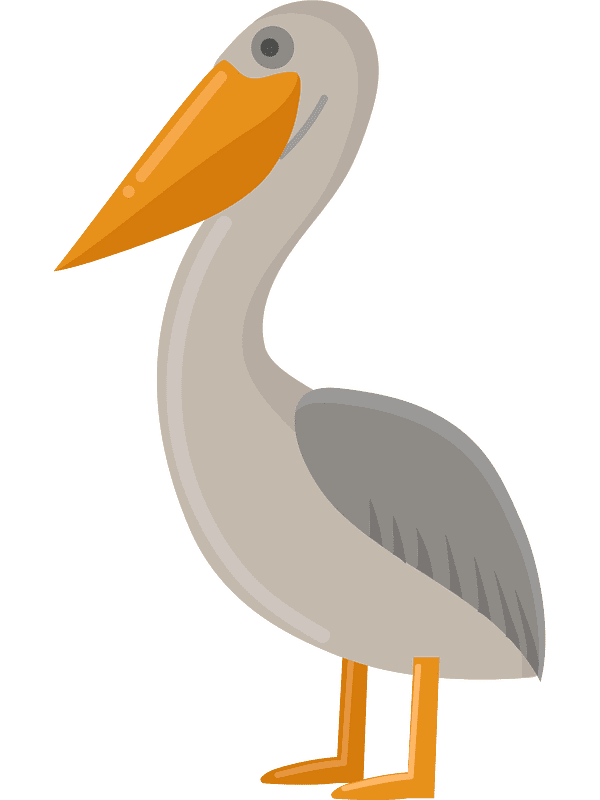 Free Pelican Clipart Transparent Background
