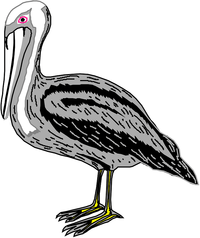 Free Pelican Transparent Clipart
