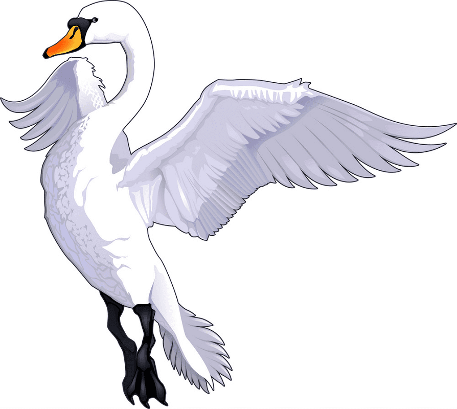 Free Swan Clipart Images