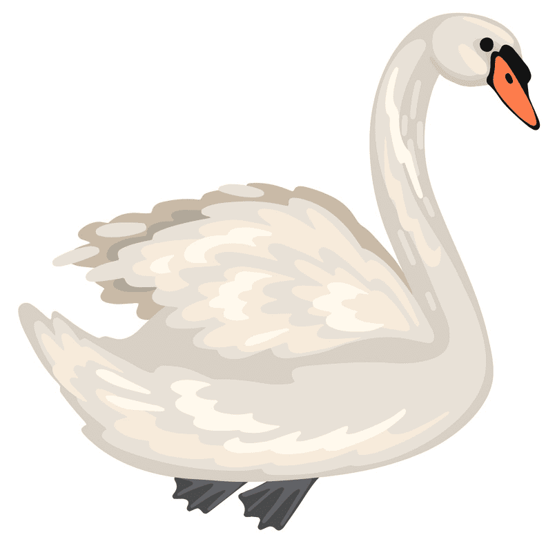 Free Swan Clipart Picture