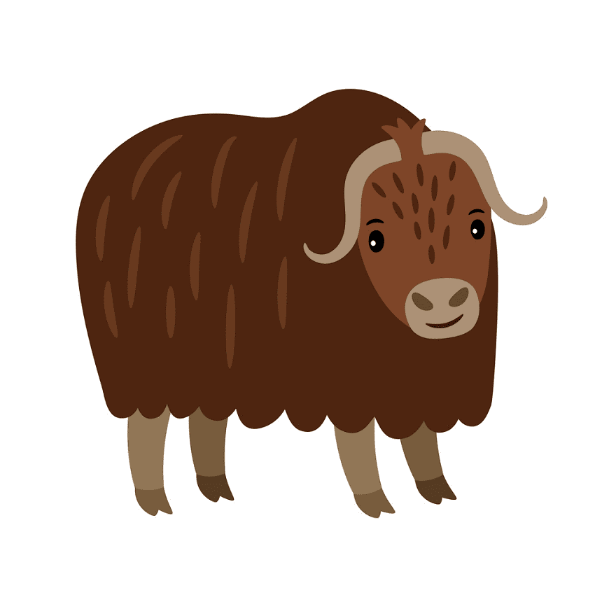Free Yak Clipart Png