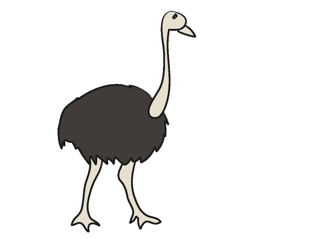 Funny Ostrich Clipart