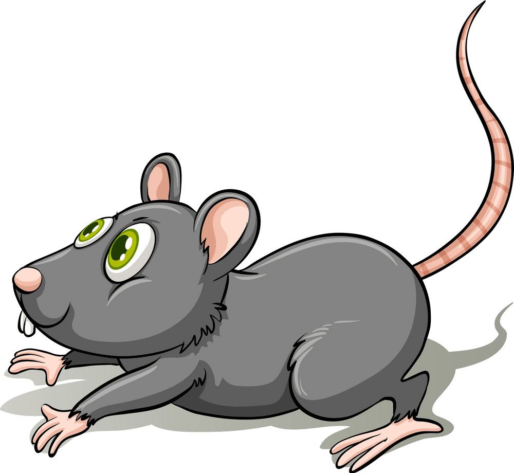 Gray Rat Clipart