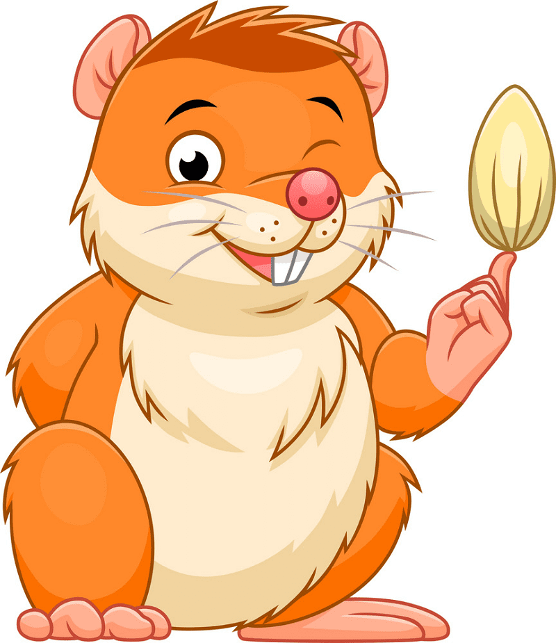 Hamster Clipart Png Download