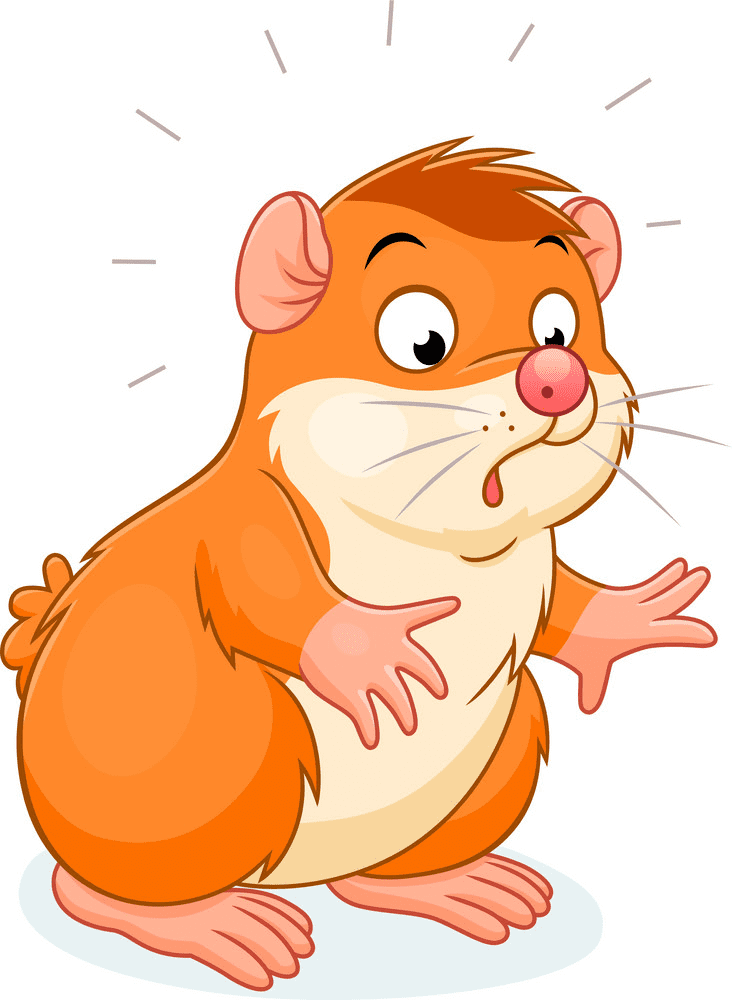 Hamster Clipart Png Image