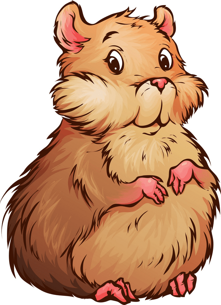 Hamster Clipart Png Images