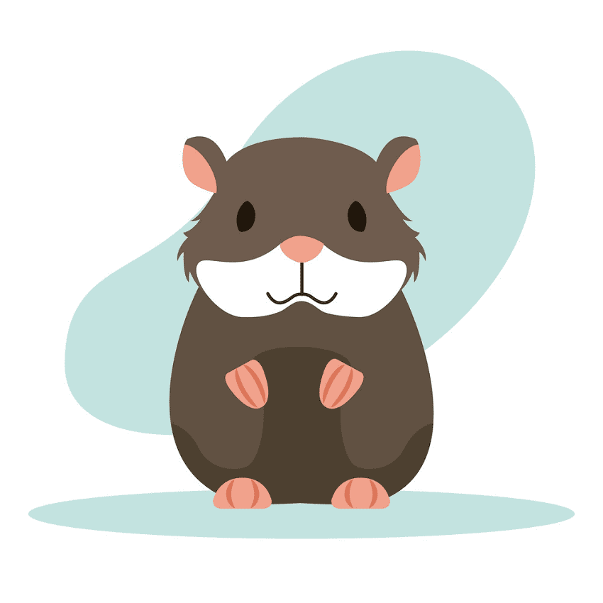 Hamster Clipart Png Pictures