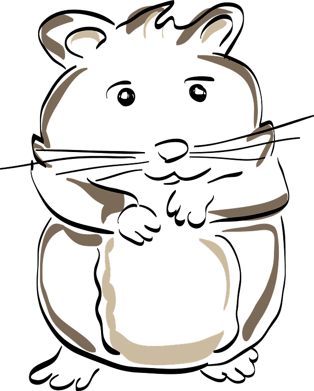 Hamster Clipart Transparent For Free