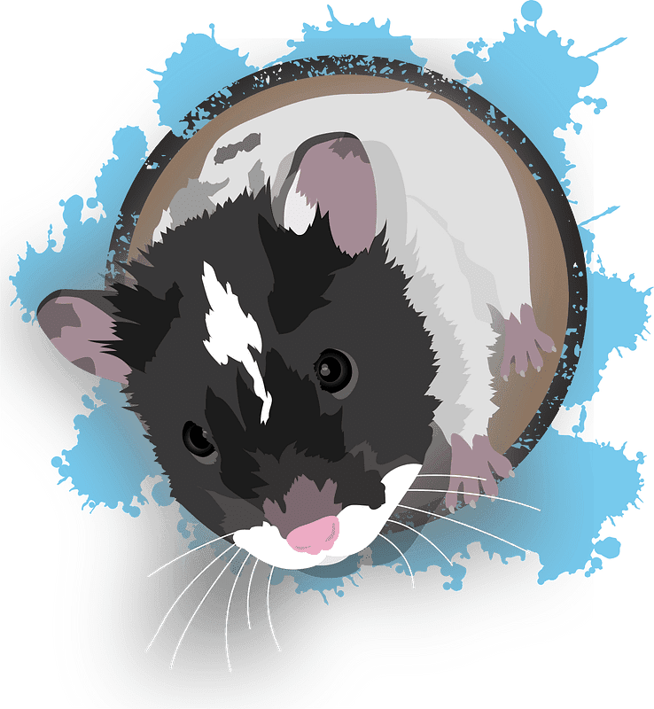 Hamster Clipart Transparent Png