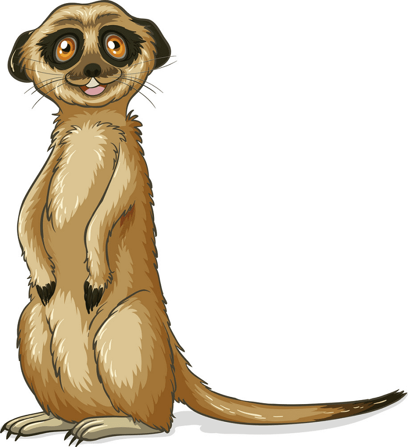 Meerkat Clipart Png For Free