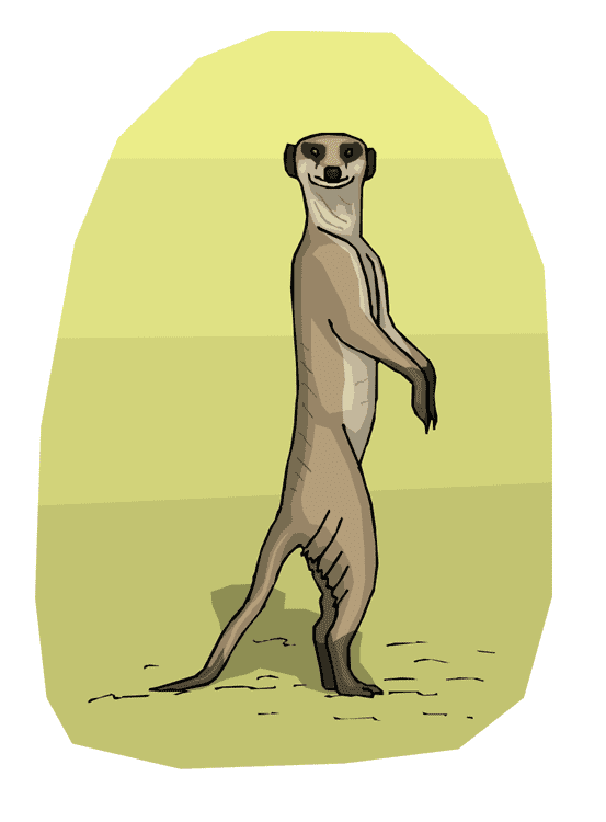 Meerkat Clipart Png