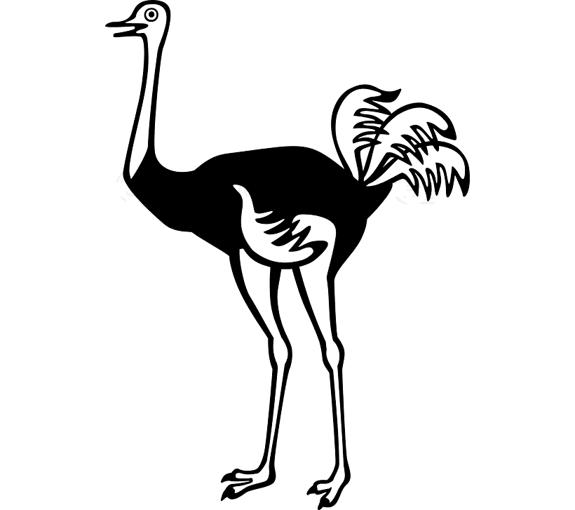 Ostrich Black and White Clipart For Free