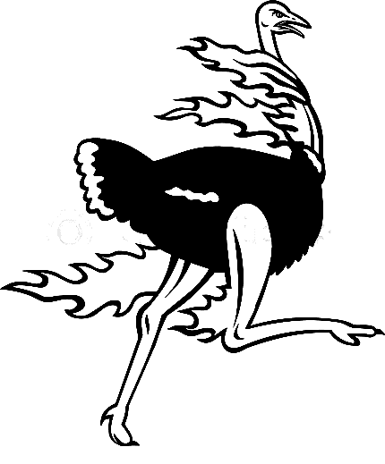 Ostrich Black and White Clipart Image