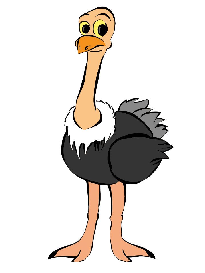 Ostrich Clip Art Free Png Image