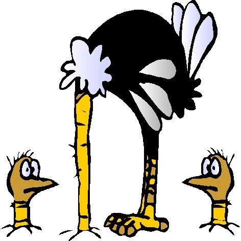 Ostrich Clipart Free Image