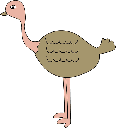 Ostrich Clipart Free Pictures