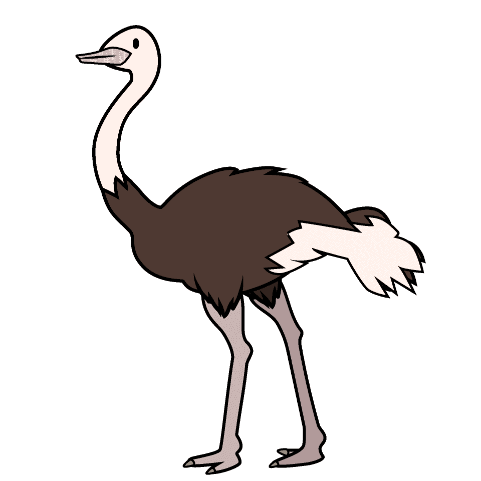 Ostrich Clipart Free Png Image