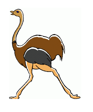Ostrich Clipart Pictures