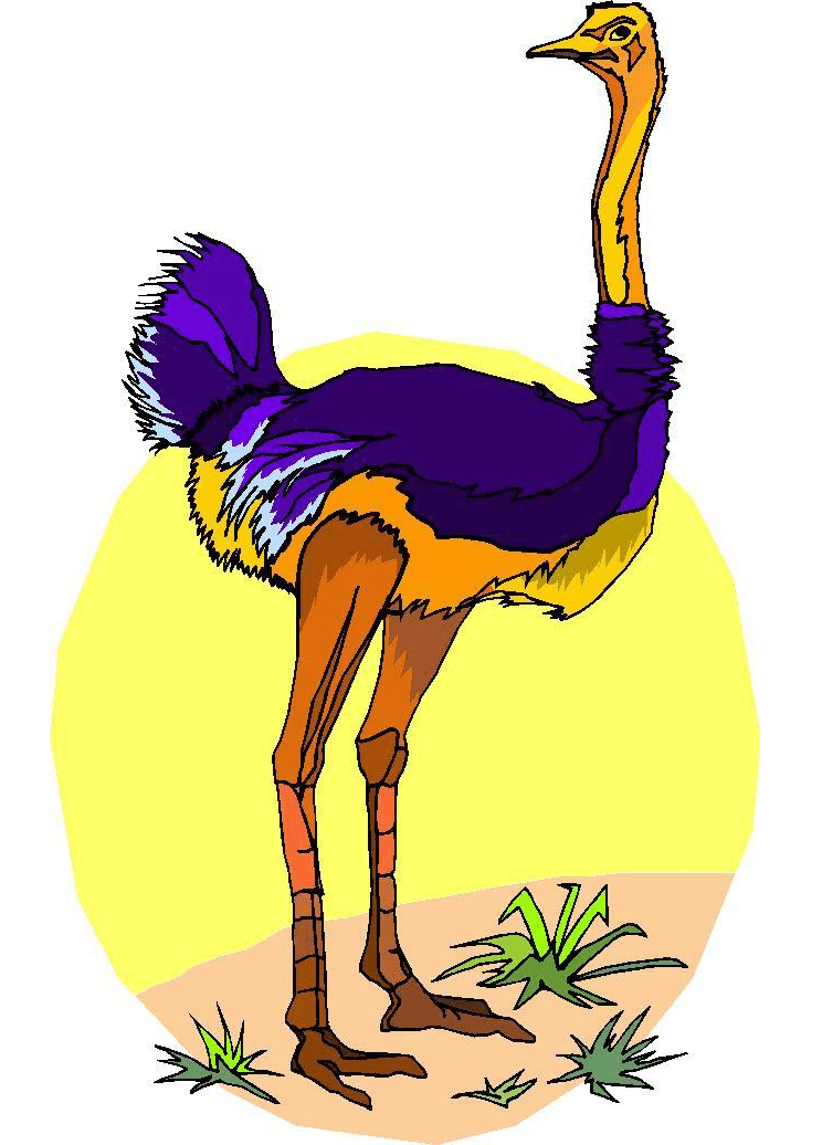 Ostrich Clipart Png Download