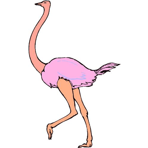 Ostrich Clipart Png Pictures