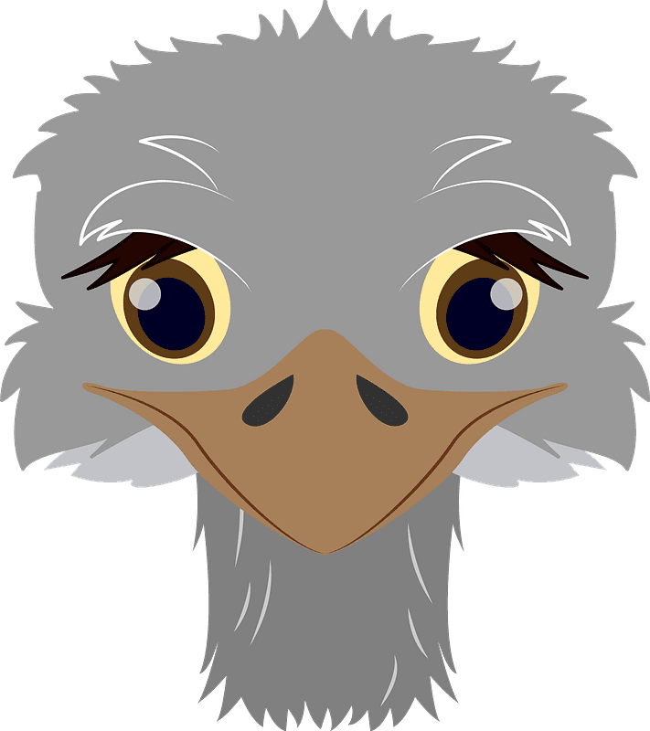 Ostrich Face Clipart Transparent