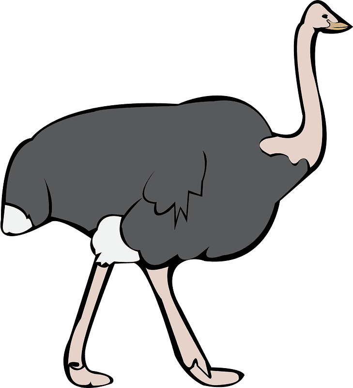 Ostrich Transparent Clipart