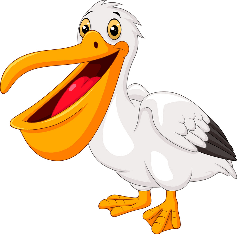 Pelican Clipart Free Picture
