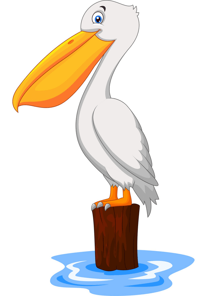 Pelican Clipart Free Pictures