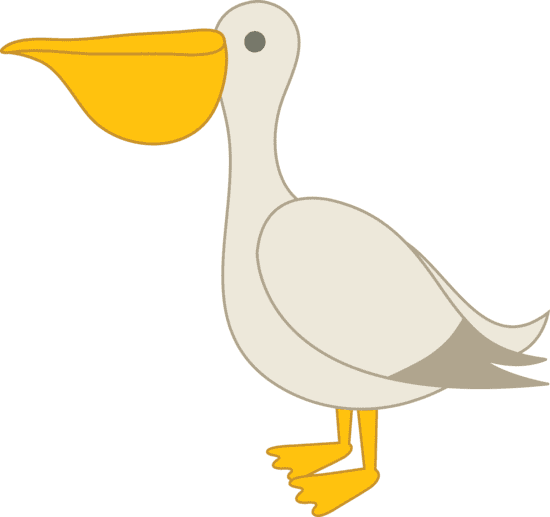 Pelican Clipart Image