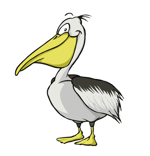 Pelican Clipart Images