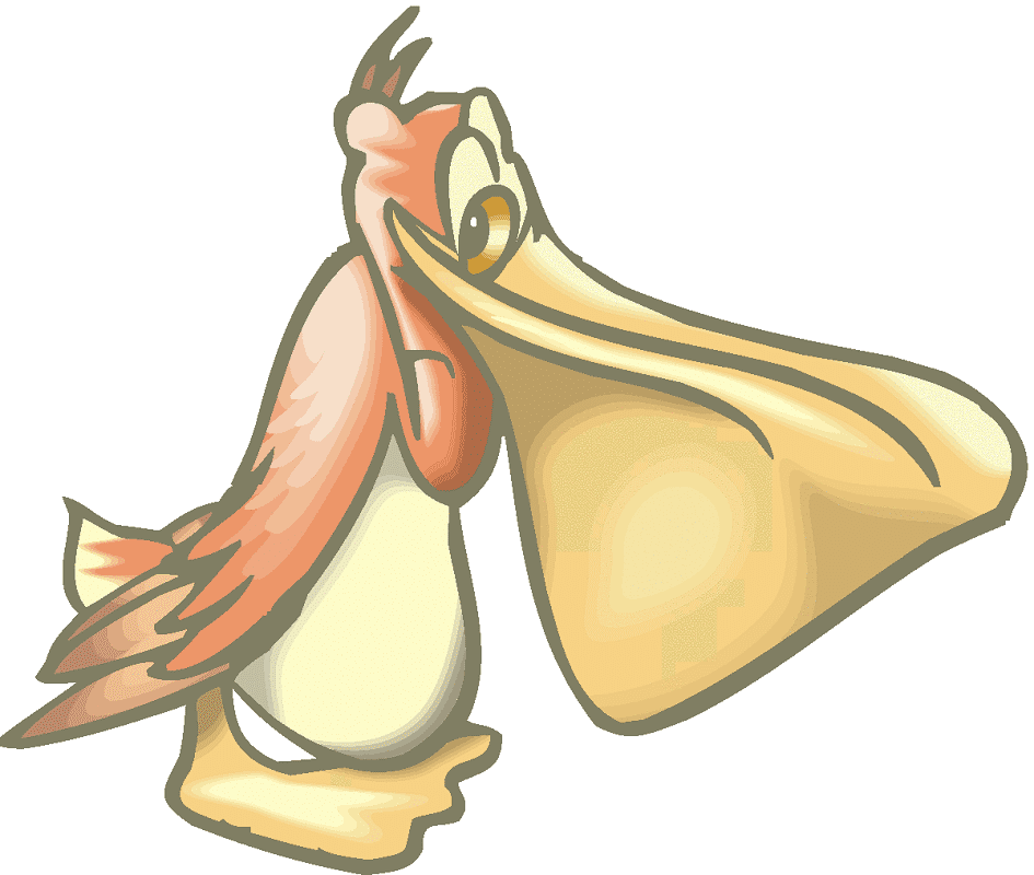 Pelican Clipart Png Pictures