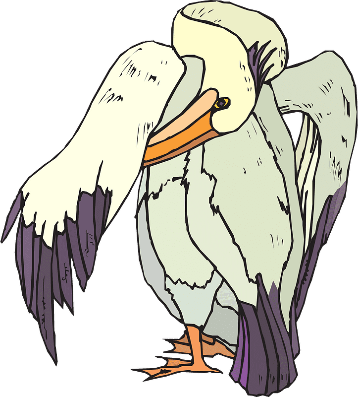 Pelican Clipart Transparent Image