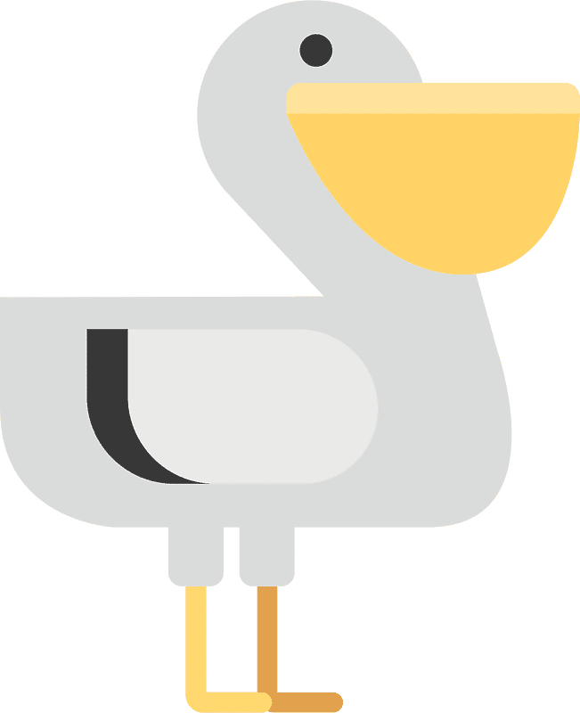 Pelican Clipart Transparent Png